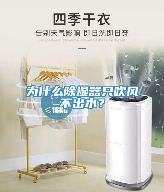 為什么除濕器只吹風不出水？