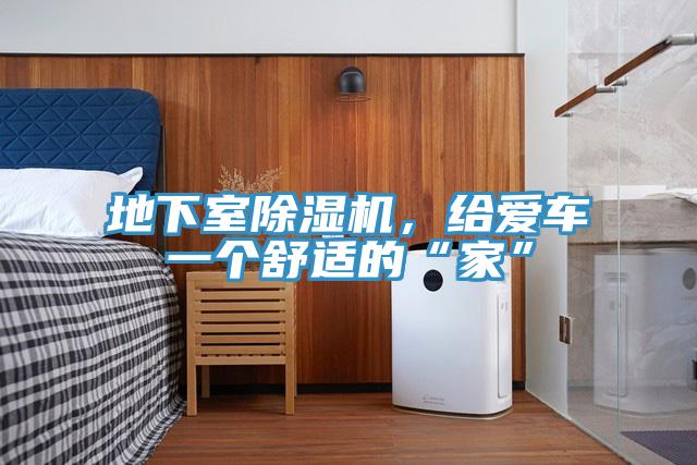 地下室除濕機，給愛車一個舒適的“家”