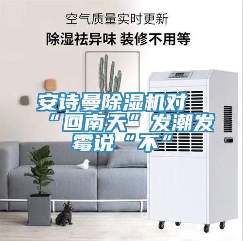 安詩曼除濕機對“回南天”發潮發霉說“不”