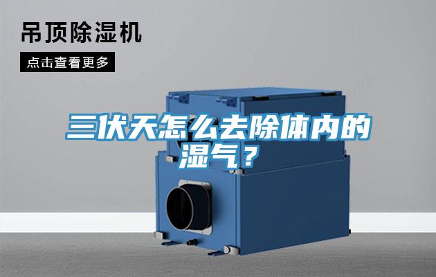 三伏天怎么去除體內(nèi)的濕氣？