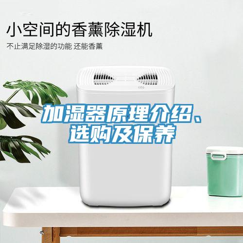 加濕器原理介紹、選購及保養