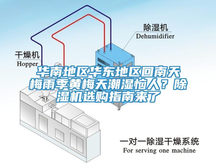 華南地區華東地區回南天梅雨季黃梅天潮濕惱人？除濕機選購指南來了
