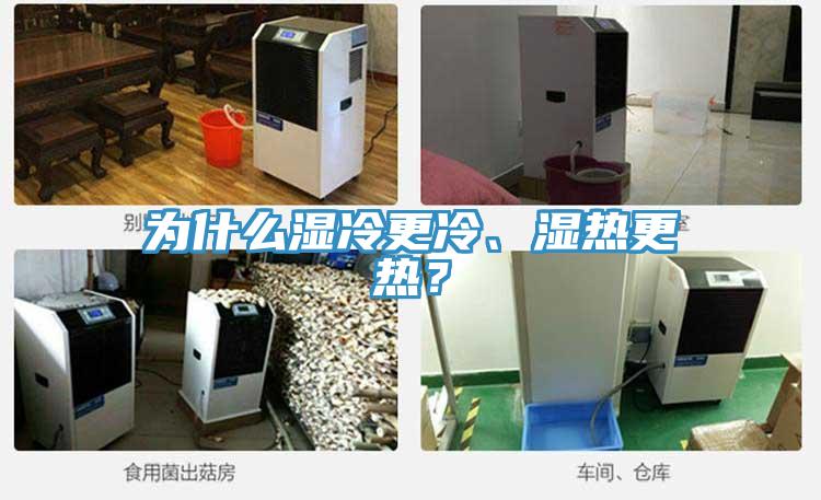 為什么濕冷更冷、濕熱更熱？