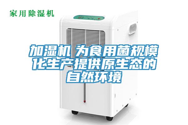 加濕機　為食用菌規(guī)?；a(chǎn)提供原生態(tài)的自然環(huán)境