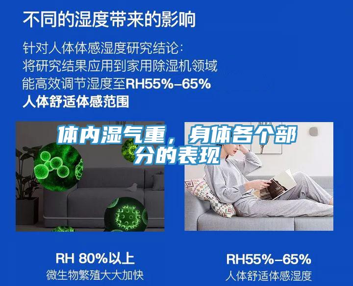 體內(nèi)濕氣重,身體各個部分的表現(xiàn)