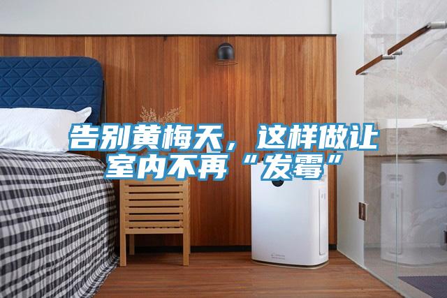 告別黃梅天，這樣做讓室內不再“發霉”