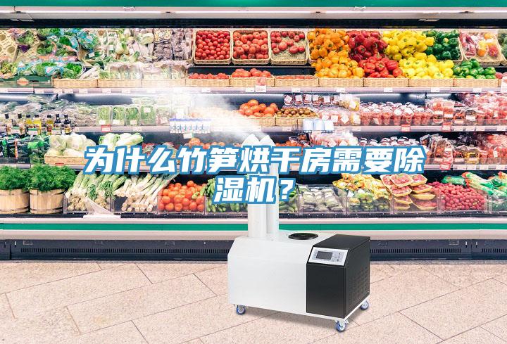 為什么竹筍烘干房需要除濕機？