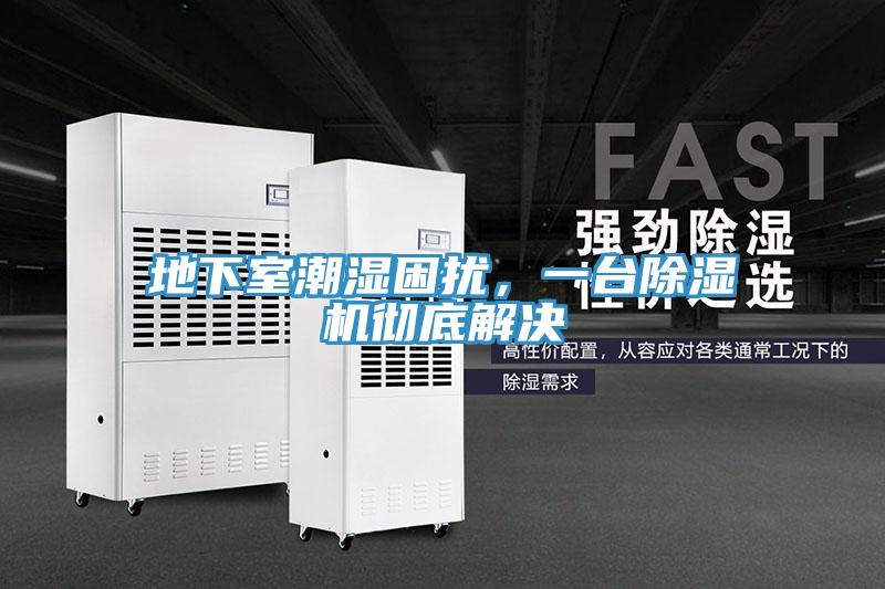 地下室潮濕困擾，一臺除濕機徹底解決