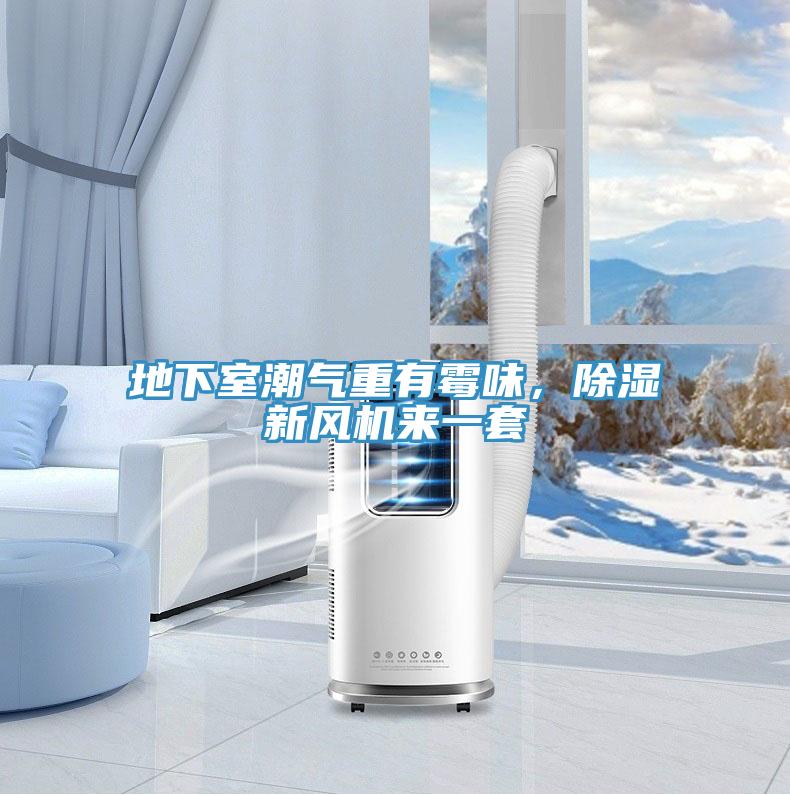 地下室潮氣重有霉味，除濕新風機來一套