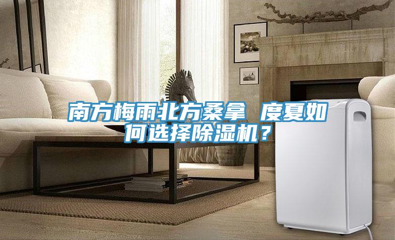 南方梅雨北方桑拿 度夏如何選擇除濕機(jī)？