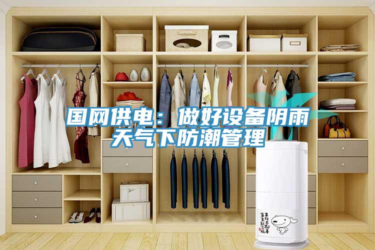 國網供電：做好設備陰雨天氣下防潮管理