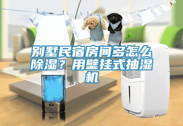 別墅民宿房間多怎么除濕?用壁掛式抽濕機(jī)