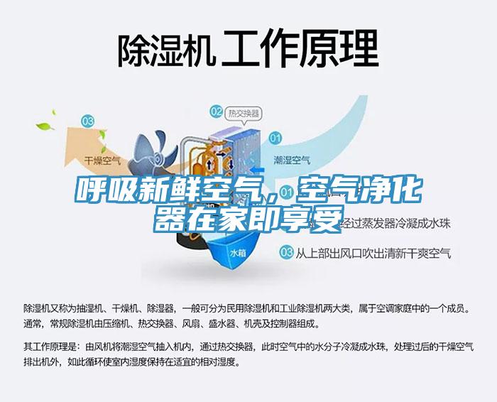 呼吸新鮮空氣，空氣凈化器在家即享受