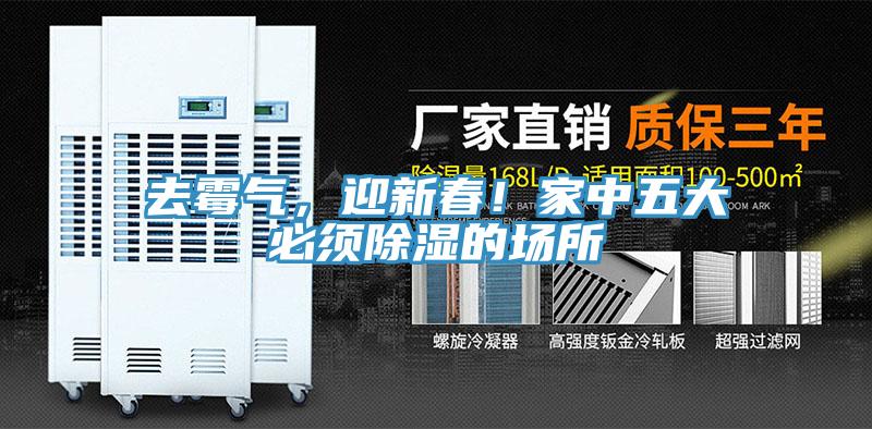 去霉氣，迎新春！家中五大必須除濕的場所