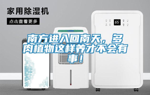 南方進入回南天，多肉植物這樣養(yǎng)才不會有事！