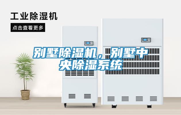 別墅除濕機(jī),別墅中央除濕系統(tǒng)