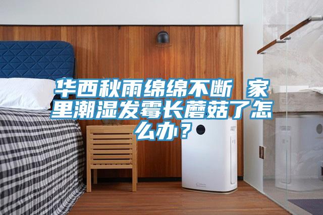 華西秋雨綿綿不斷 家里潮濕發霉長蘑菇了怎么辦？