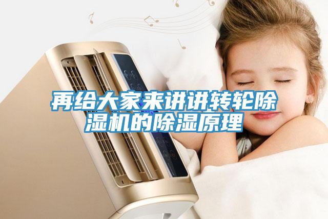 再給大家來講講轉輪除濕機的除濕原理
