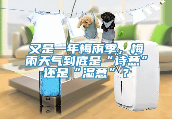 又是一年梅雨季，梅雨天氣到底是“詩意”還是“濕意”？