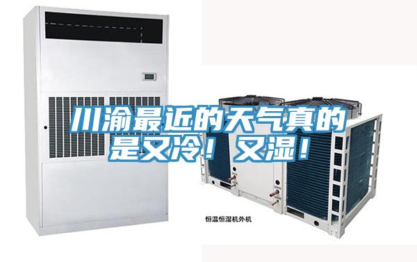 川渝最近的天氣真的是又冷！又濕！