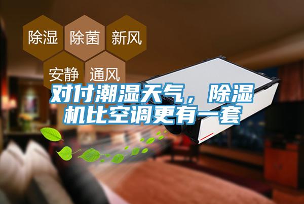 對付潮濕天氣，除濕機比空調更有一套