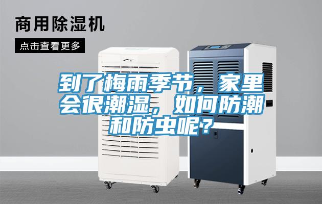 到了梅雨季節(jié)，家里會(huì)很潮濕，如何防潮和防蟲(chóng)呢？