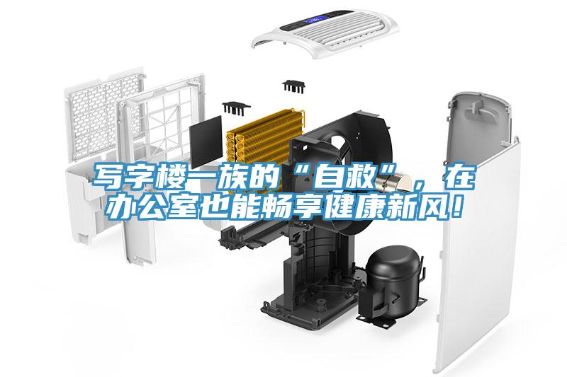 寫字樓一族的“自救”，在辦公室也能暢享健康新風！