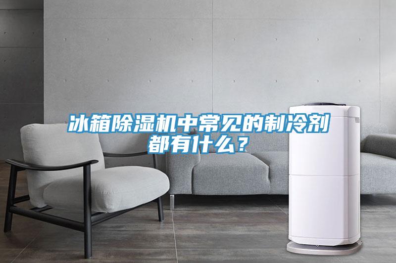 冰箱除濕機中常見的制冷劑都有什么？