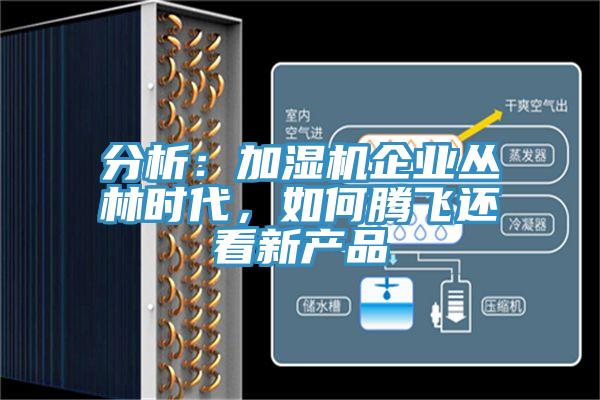 分析：加濕機企業叢林時代，如何騰飛還看新產品