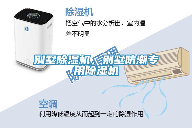 別墅除濕機(jī),別墅防潮專用除濕機(jī)