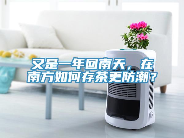 又是一年回南天，在南方如何存茶更防潮？