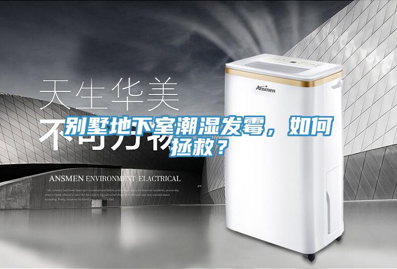 別墅地下室潮濕發(fā)霉，如何拯救？