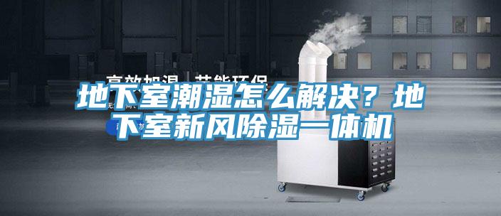 地下室潮濕怎么解決？地下室新風除濕一體機