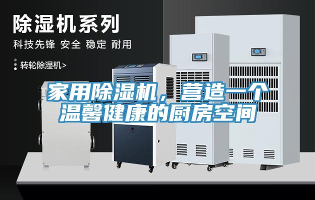 家用除濕機，營造一個溫馨健康的廚房空間