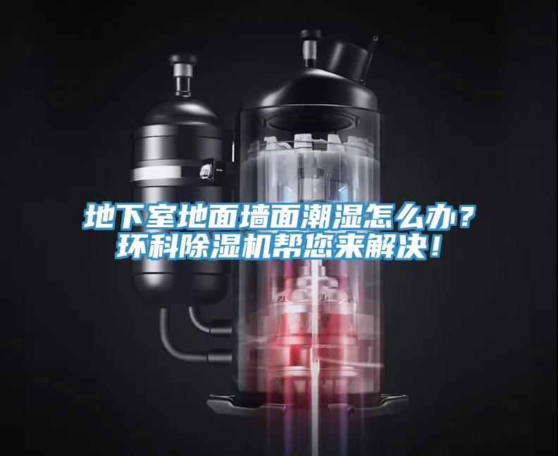 地下室地面墻面潮濕怎么辦？環科除濕機幫您來解決！