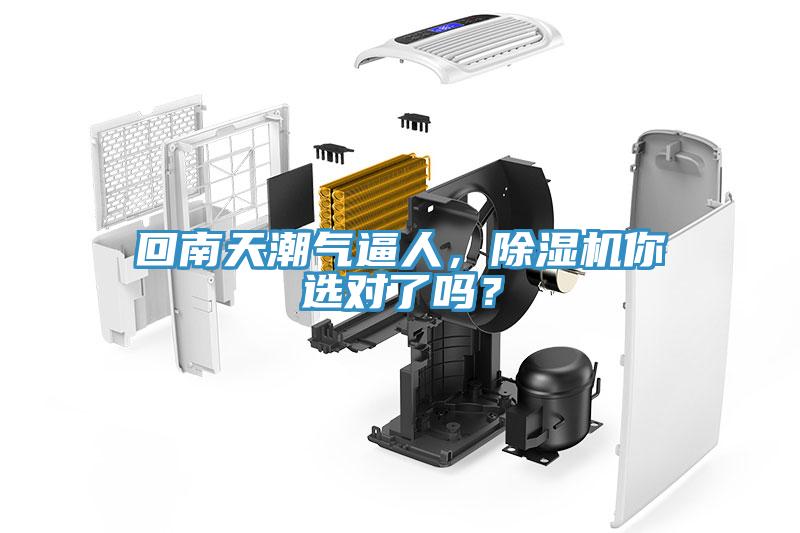 回南天潮氣逼人，除濕機你選對了嗎？