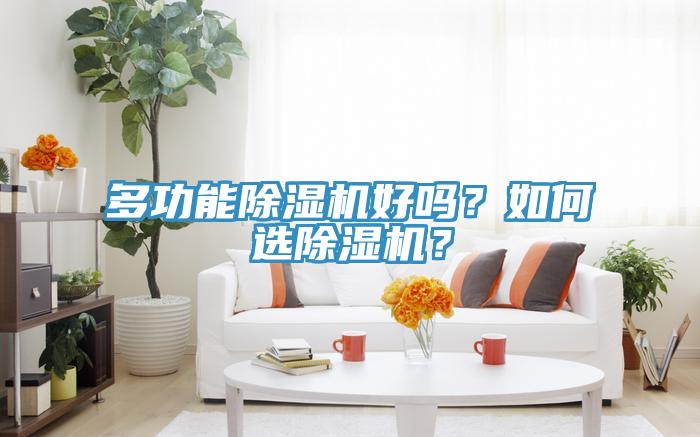 多功能除濕機好嗎？如何選除濕機？
