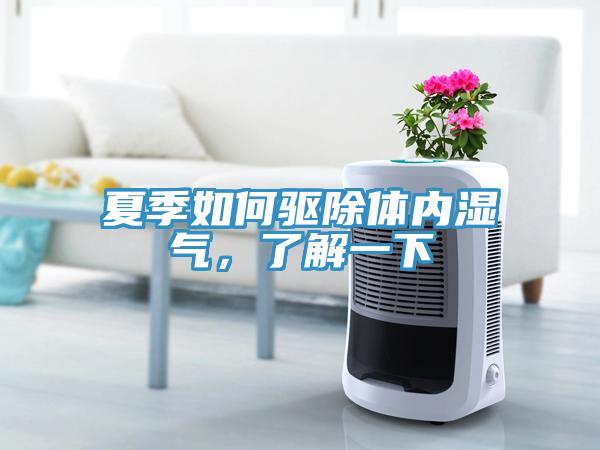 夏季如何驅除體內濕氣，了解一下