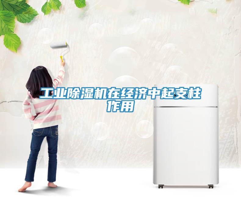 工業除濕機在經濟中起支柱作用
