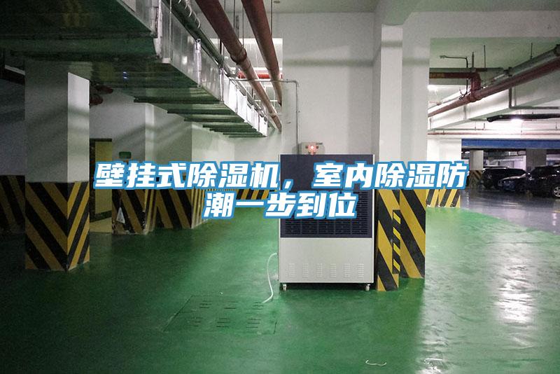 壁掛式除濕機，室內除濕防潮一步到位