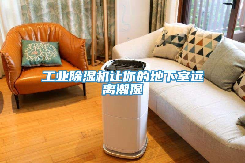 工業除濕機讓你的地下室遠離潮濕