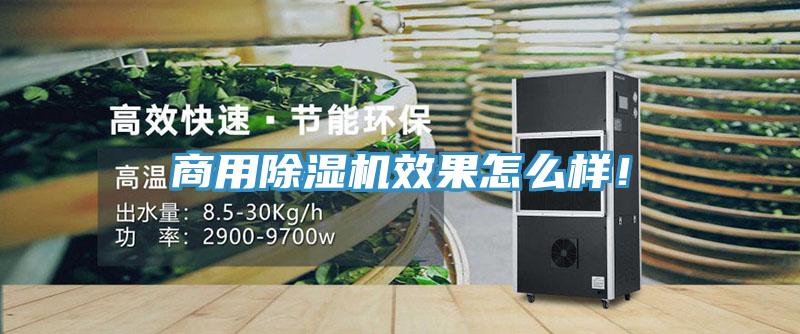 商用除濕機效果怎么樣！