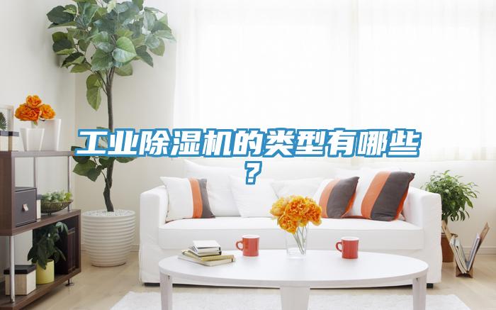 工業除濕機的類型有哪些？