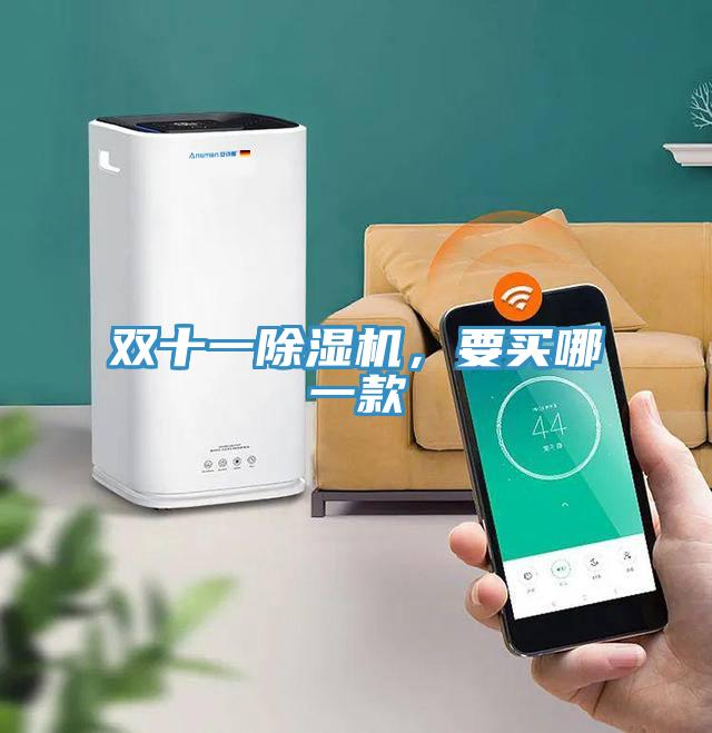 雙十一除濕機，要買哪一款