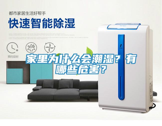家里為什么會潮濕？有哪些危害？
