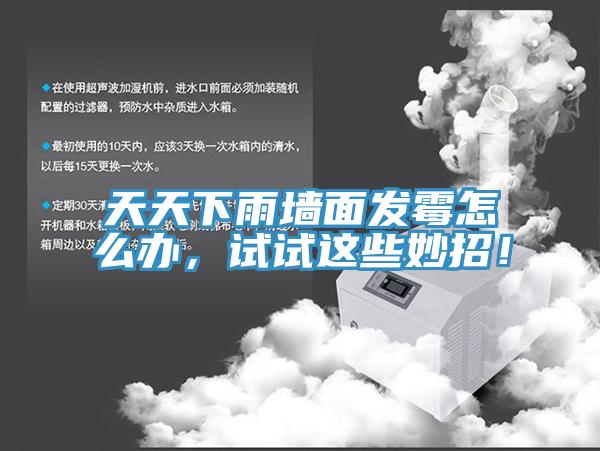 天天下雨墻面發霉怎么辦，試試這些妙招！
