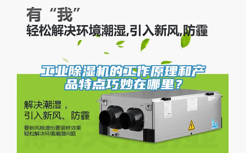 工業除濕機的工作原理和產品特點巧妙在哪里？