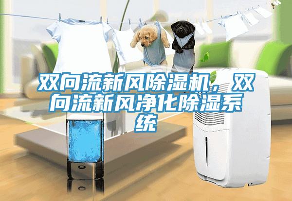 雙向流新風除濕機,雙向流新風凈化除濕系統
