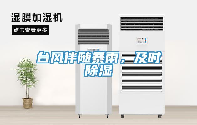 臺(tái)風(fēng)伴隨暴雨，及時(shí)除濕
