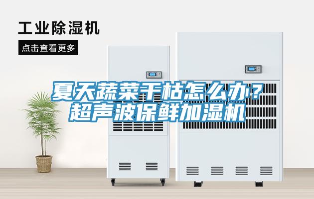 夏天蔬菜干枯怎么辦？超聲波保鮮加濕機